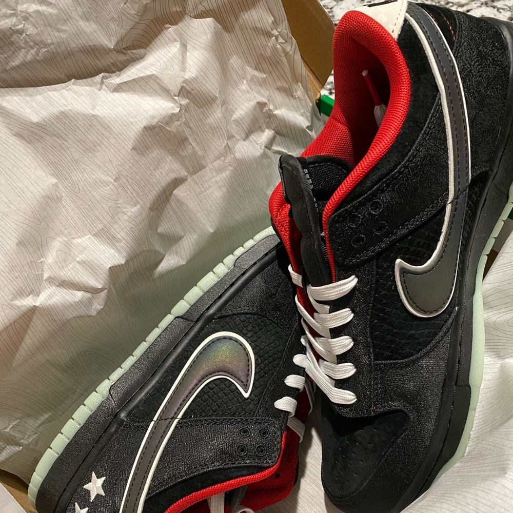 Nike SB Dunk Low ⭐️ NEVER WORN